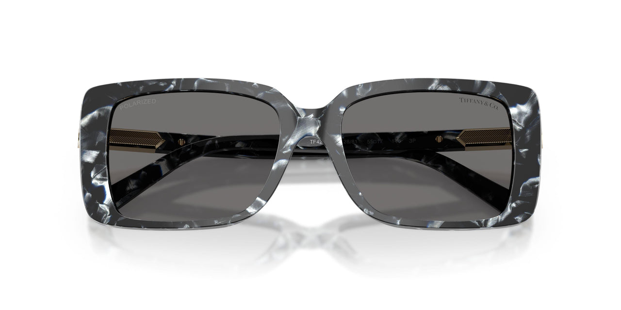 842881 - Tortoise - Dark Grey Polarized