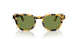 170152 - Black - Green C