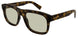 013 - Havana - Brown
