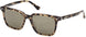 WEB 0348 Sunglasses