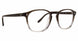 Badgley Mischka BMMATTEO Eyeglasses