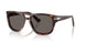 24/B1 - Tortoise - Dark Grey