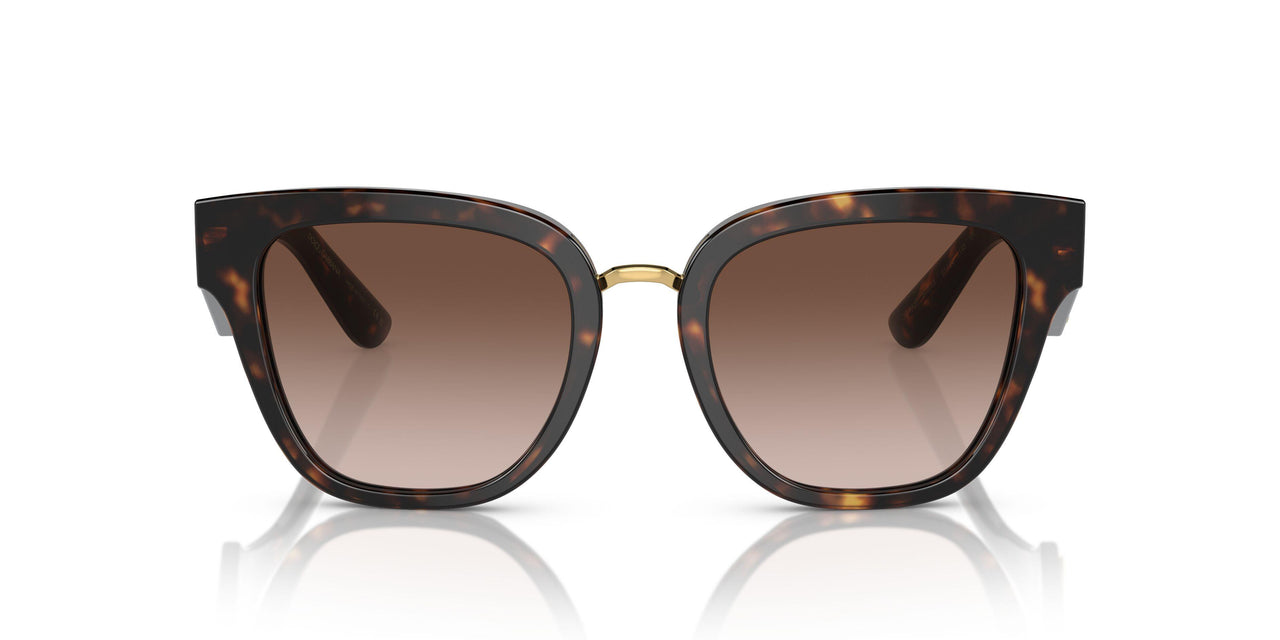 502/13 - Tortoise - Gradient Brown