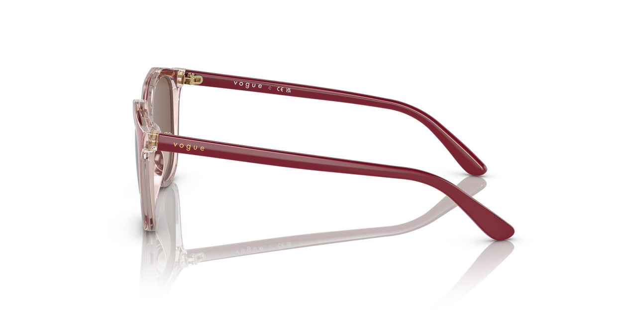293173 - Pink - Dark Brown