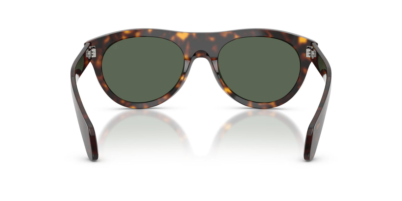 300271 - Tortoise - Solid Dark Green