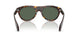 300271 - Tortoise - Solid Dark Green