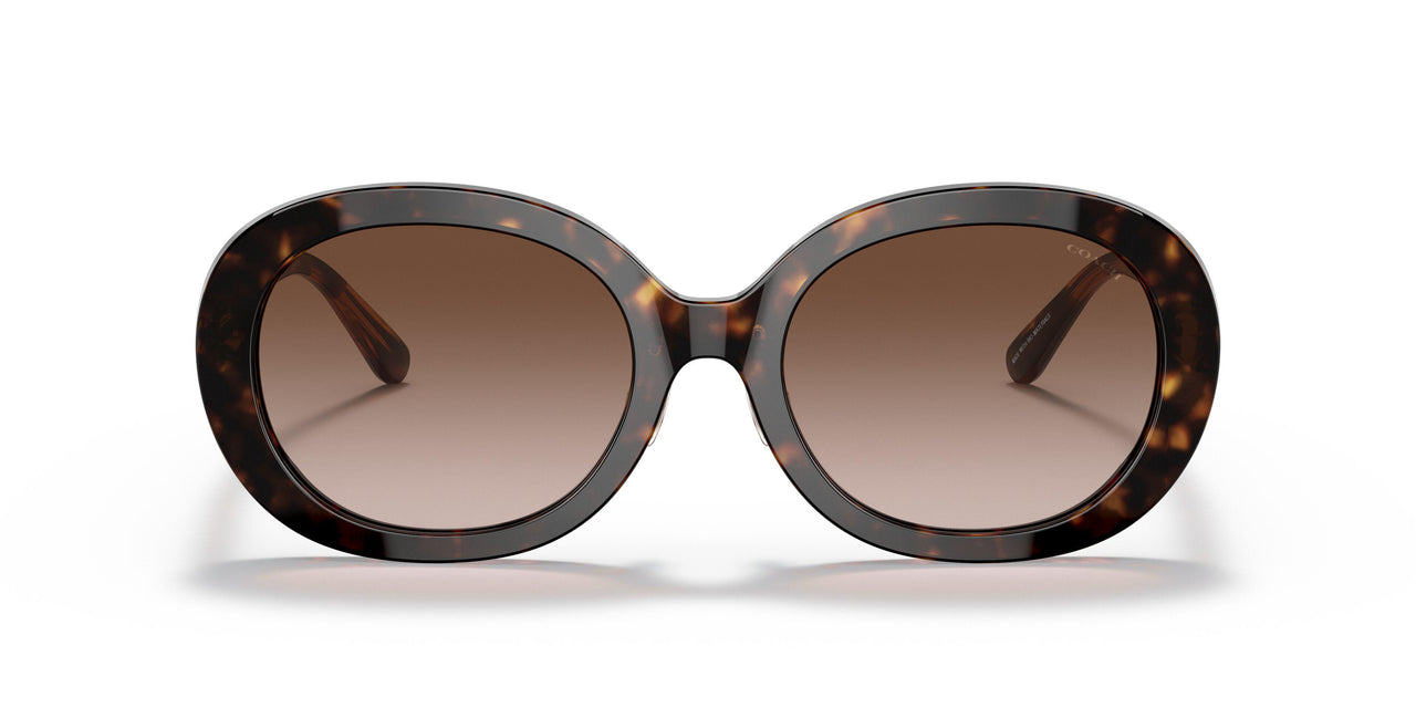 512013 - Havana - Brown Gradient