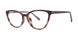 Modern Plastics II YEARN Eyeglasses