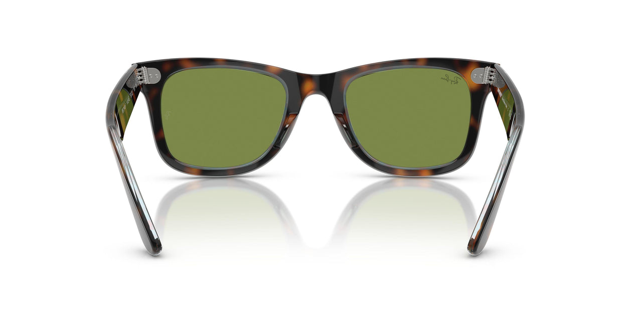 14134E - Tortoise - Green