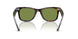 14134E - Tortoise - Green