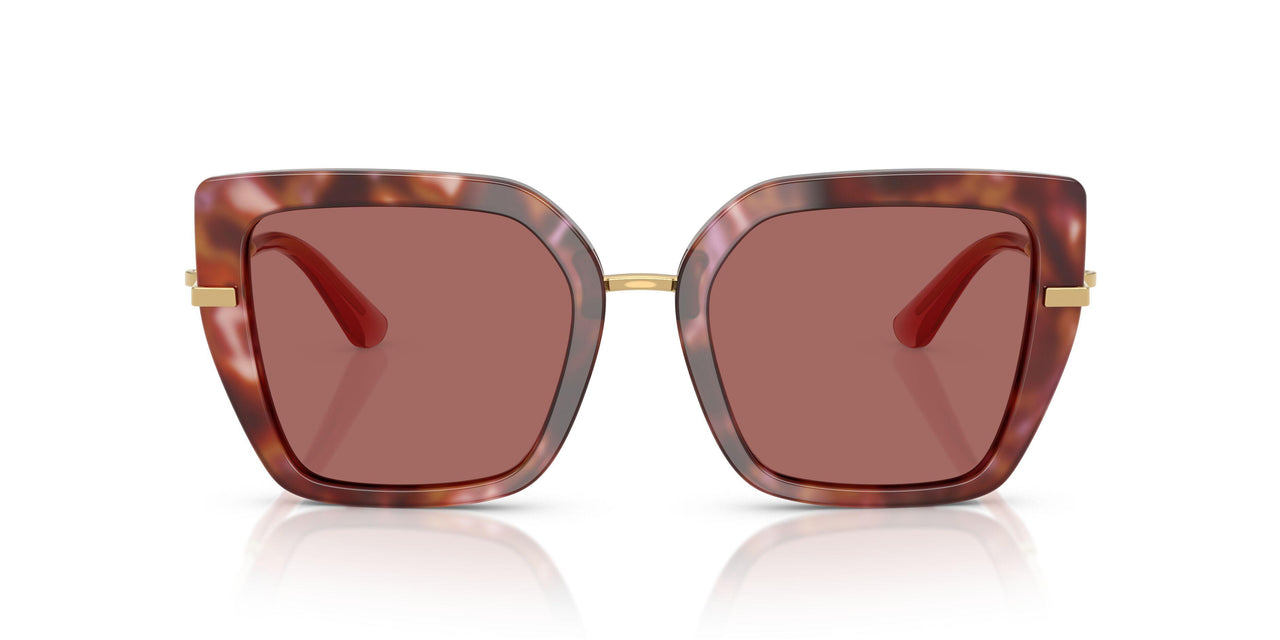344469 - Tortoise - Dark Violet