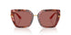 344469 - Tortoise - Dark Violet