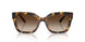 317913 - Tortoise - Gradient Brown