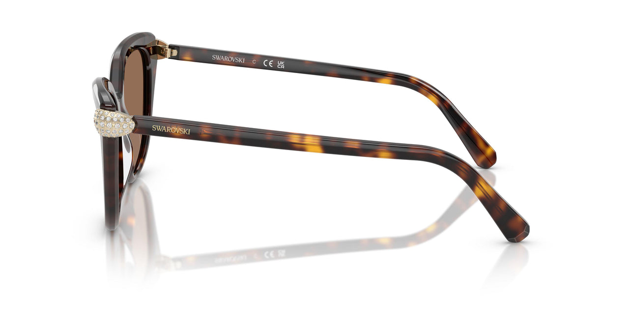 100273 - Tortoise - Dark Brown
