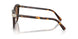 100273 - Tortoise - Dark Brown