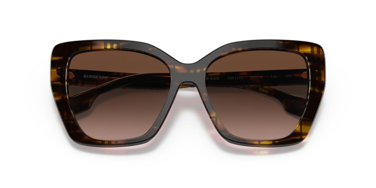 398113 - Brown - Brown Gradient