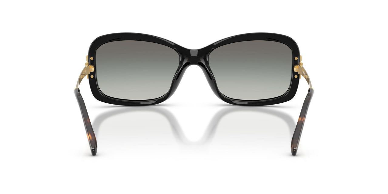 196411 - Black - Grey Gradient
