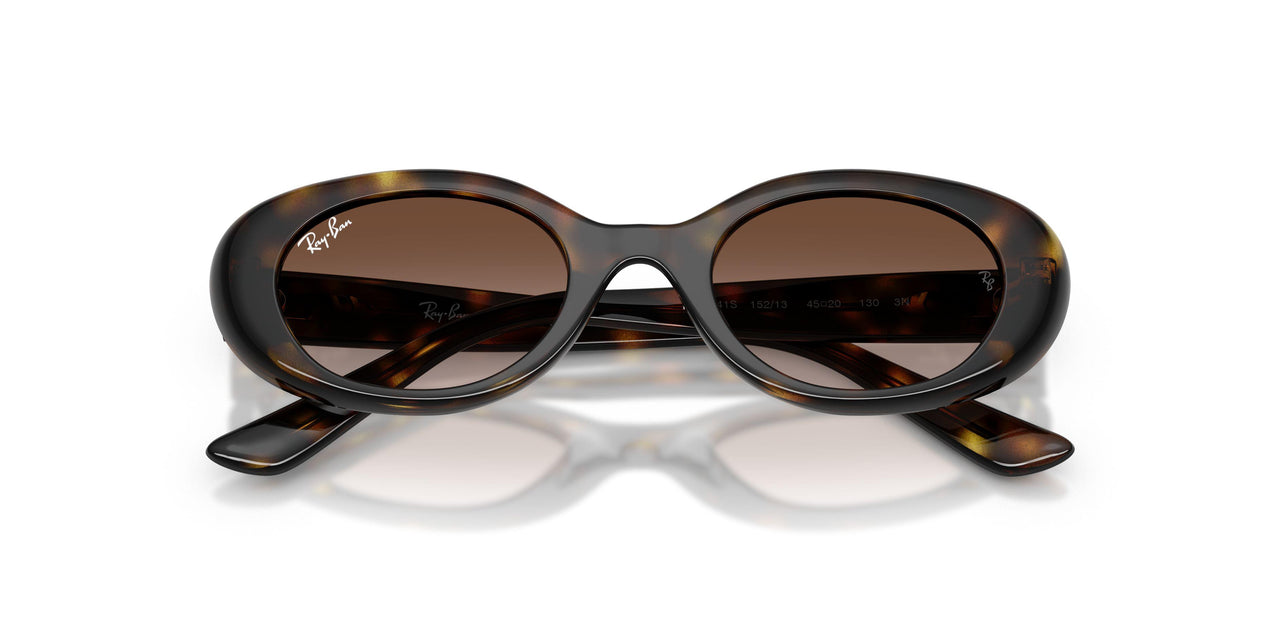 152/13 - Tortoise - Gradient Brown