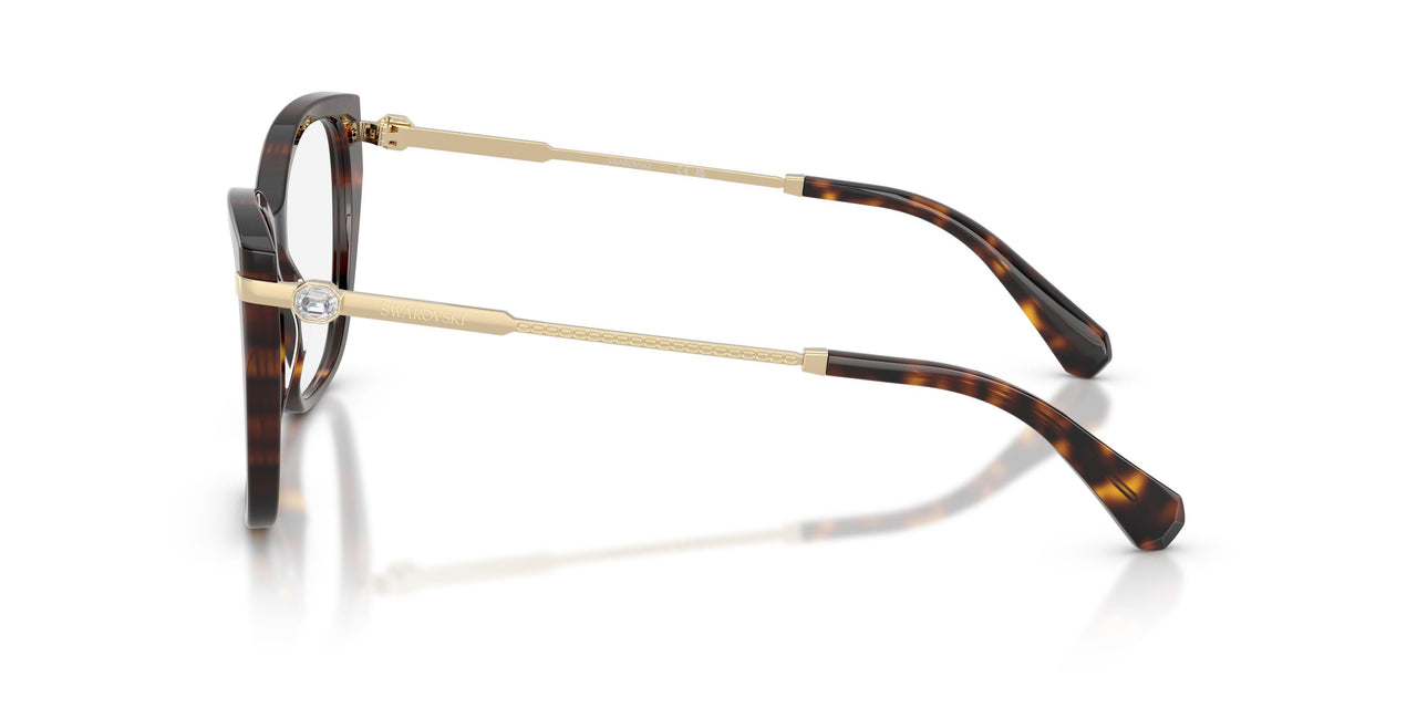 1002 - Tortoise
