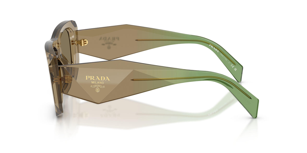 29E90F - Brown - Light Brown