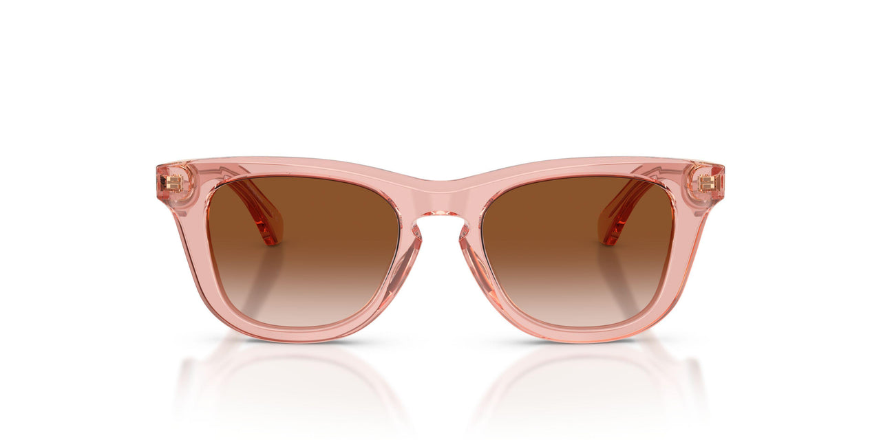 421413 - Pink - Brown Gradient