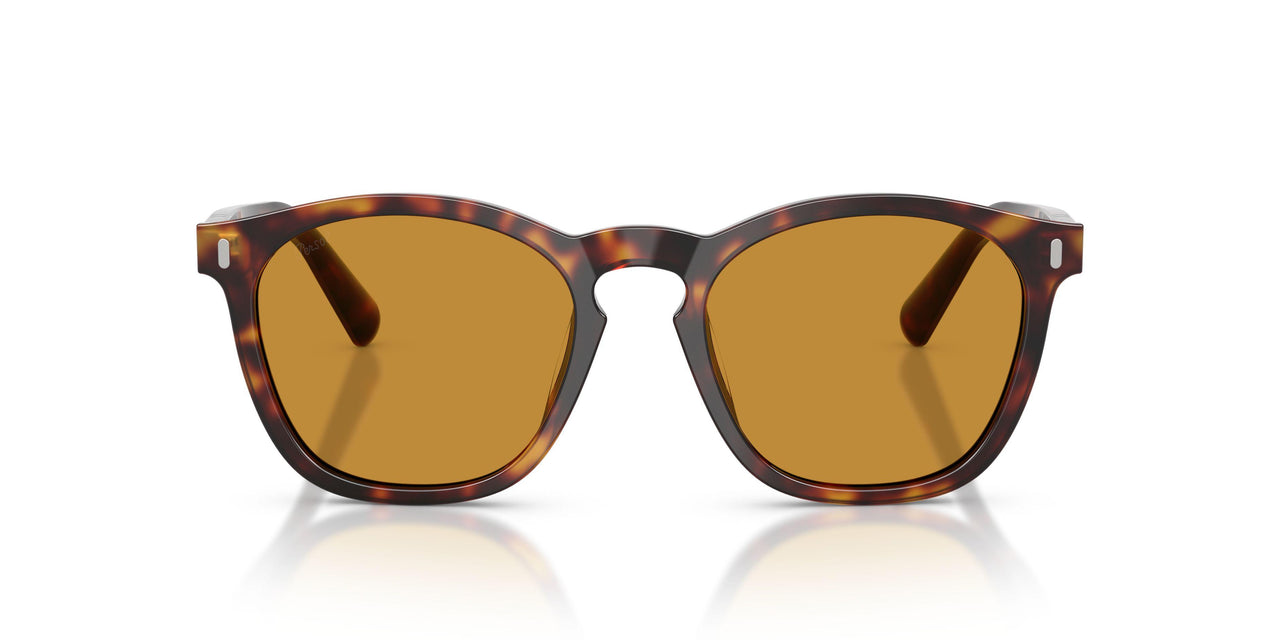 24/53 - Tortoise - Yellow Brown