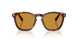 24/53 - Tortoise - Yellow Brown