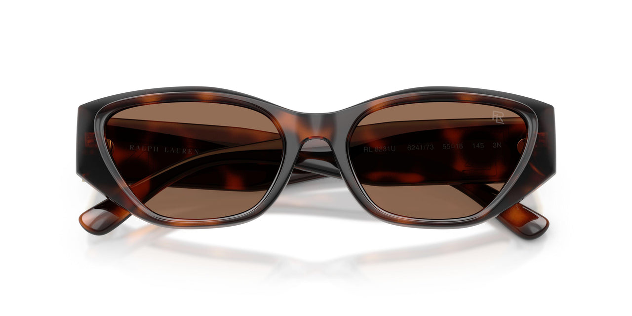 624173 - Tortoise - Brown