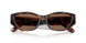 624173 - Tortoise - Brown