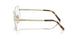 27T10W - Brown - Clear Blue Light Filter
