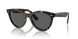 902/B1 - Tortoise - Dark Grey