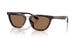 612473 - Tortoise - Dark Brown