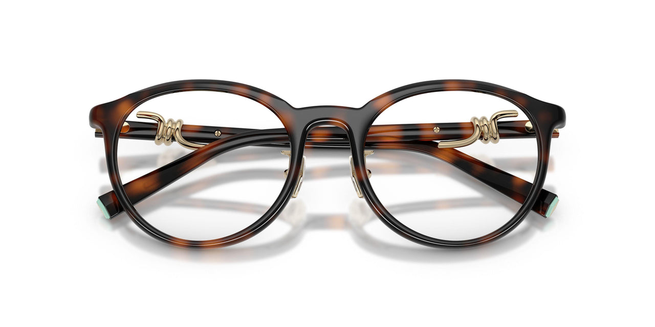 8015 - Tortoise