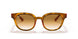 647551 - Yellow Light Havana - Clear Gradient Brown