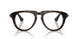 3002 - Brown