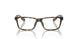 5003 - Tortoise