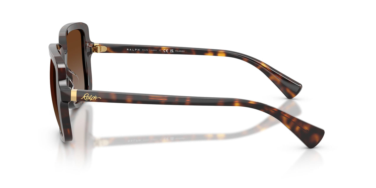 5003T5 - Tortoise - Polar Brown Gradient