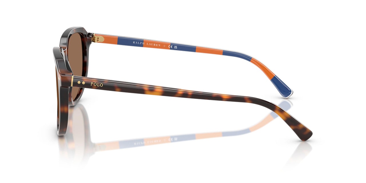 613773 - Tortoise - Dark Brown
