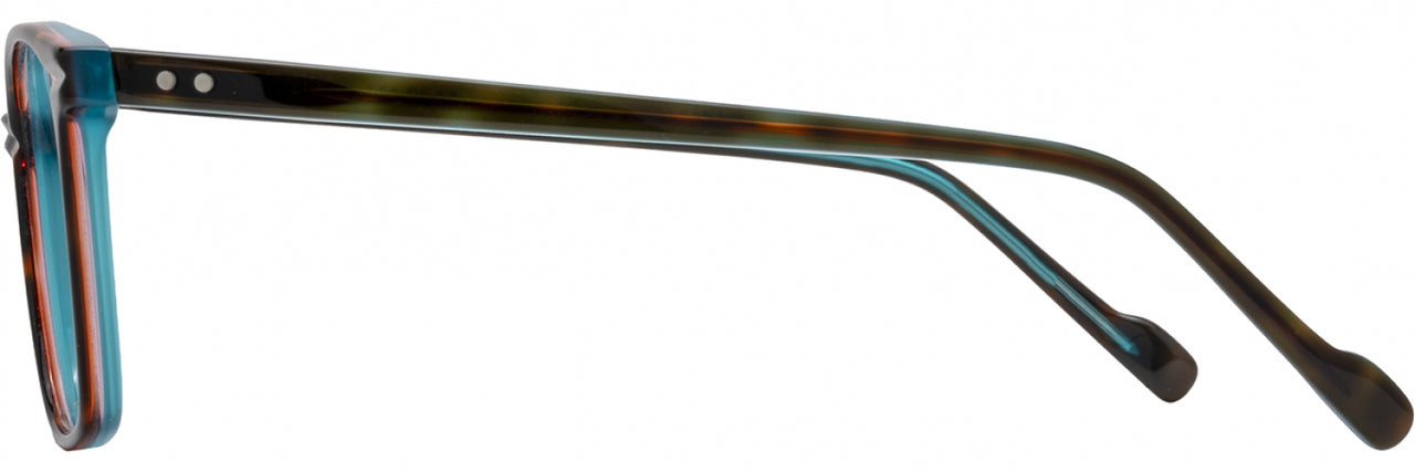 4 - Tortoise / Teal