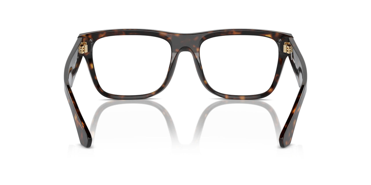 3002 - Brown