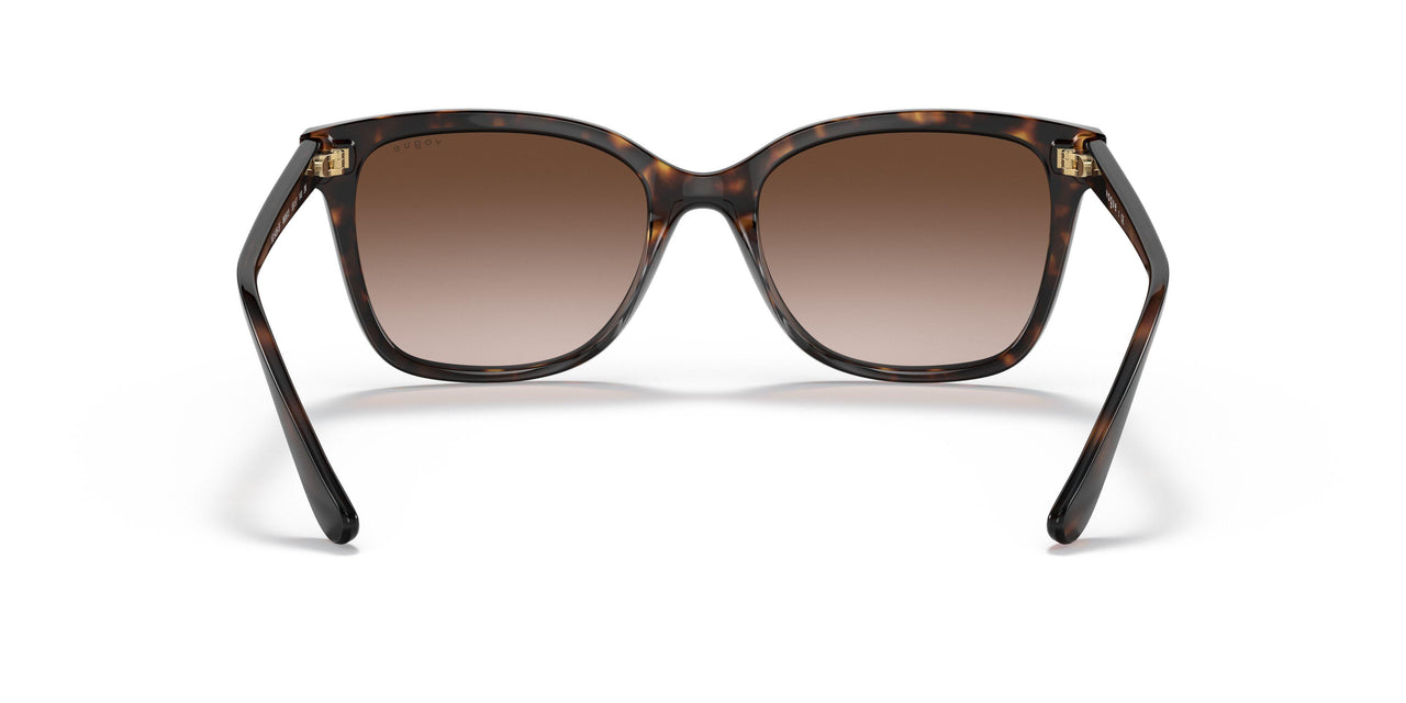 W65613 - Havana - Brown Gradient