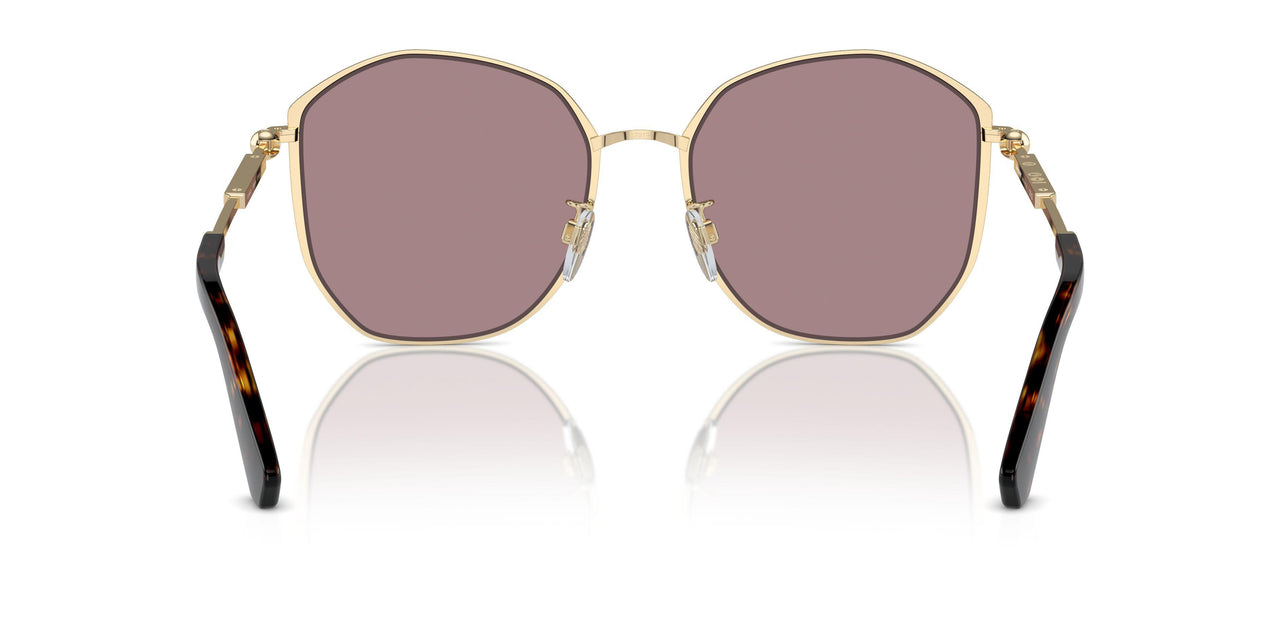 11097N - Gold - Light Purple Brown