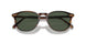 17249A - Brown - Green Polarized