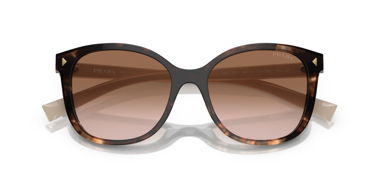 07R0A6 - Tortoise - Brown Gradient