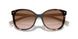 07R0A6 - Tortoise - Brown Gradient