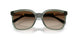 308613 - Green - Gradient Brown