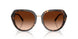 512074 - Tortoise - Brown Gradient
