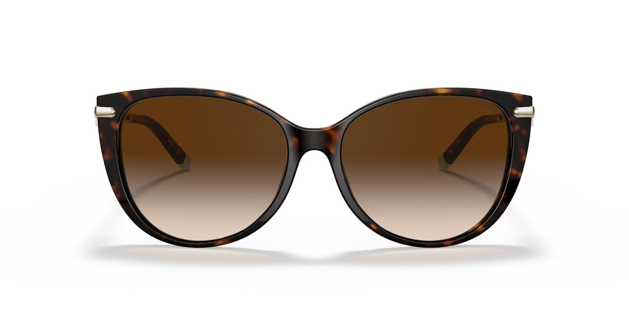 80153B - Havana - Brown Gradient