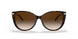 80153B - Havana - Brown Gradient