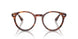 2144 - Brown - Clear